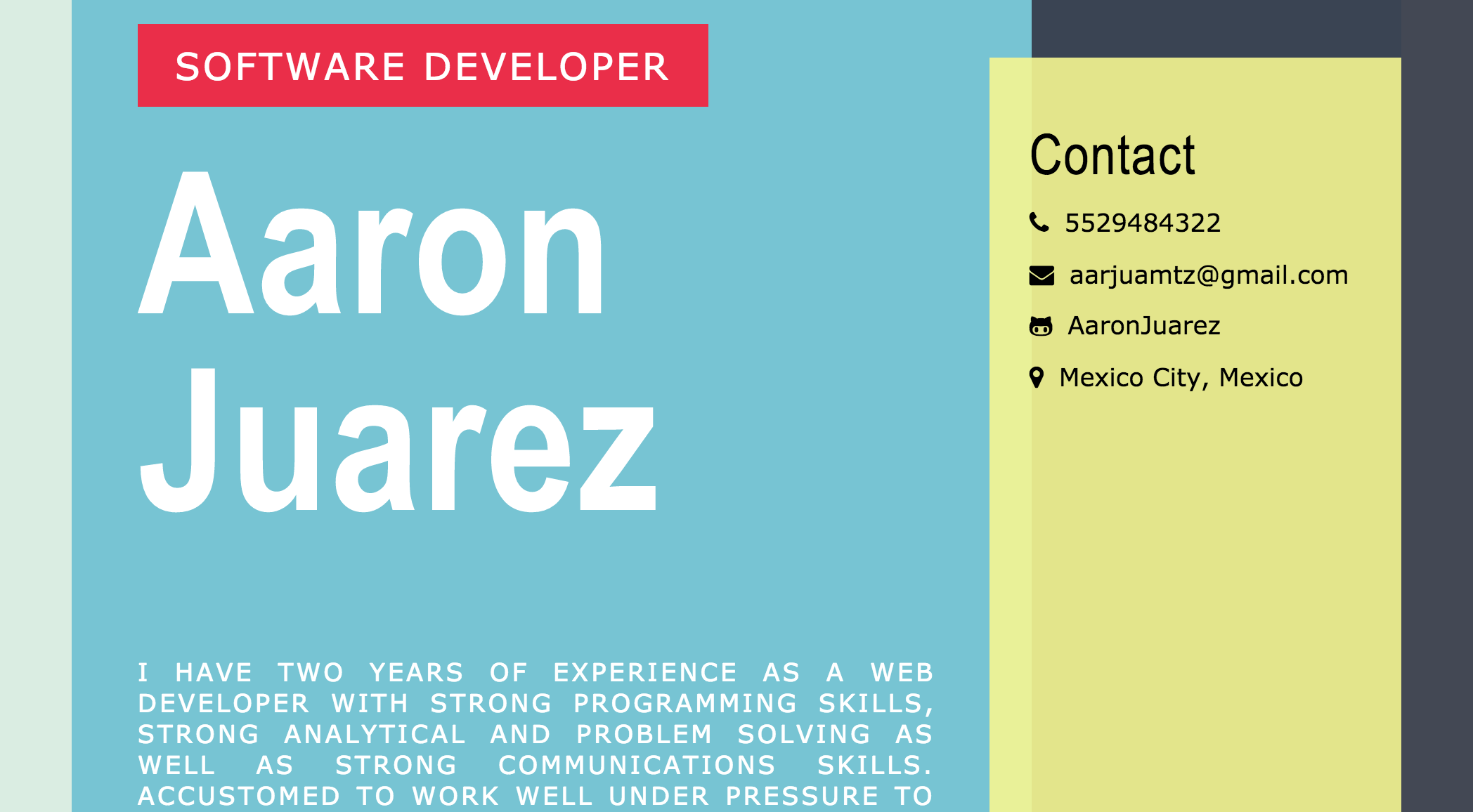 Online Resume
